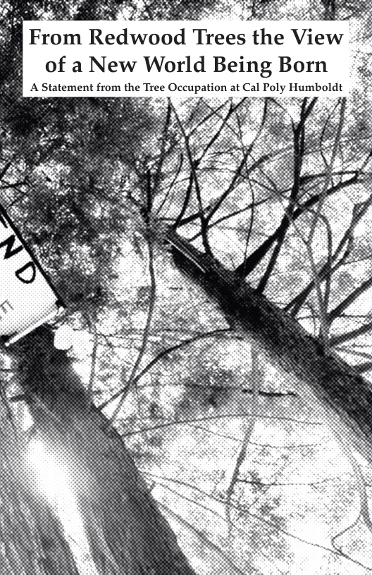 From Redwood Trees the View -4 of a New World Being Born @ A Statement from the Tree Occupation at Cal Pol